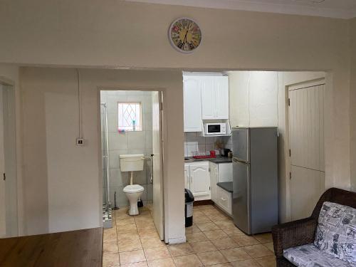 恩潘盖尼Dickens Garden Flat的一间带冰箱和水槽的小厨房