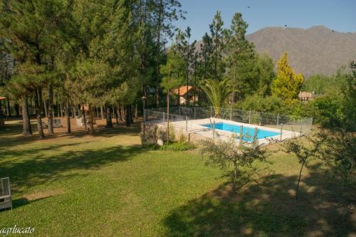 且乌塔El Pinar Suizo的院子里游泳池的形象