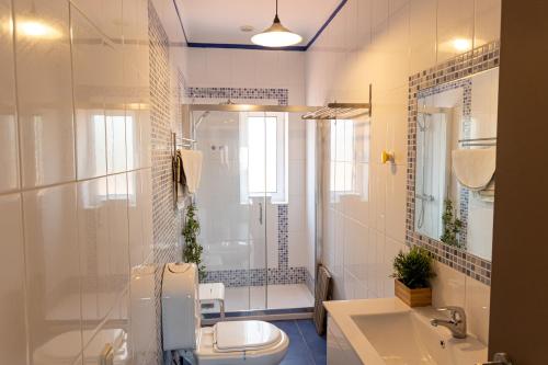 阿马兰特Twin House - Amarante的浴室配有卫生间、淋浴和盥洗盆。