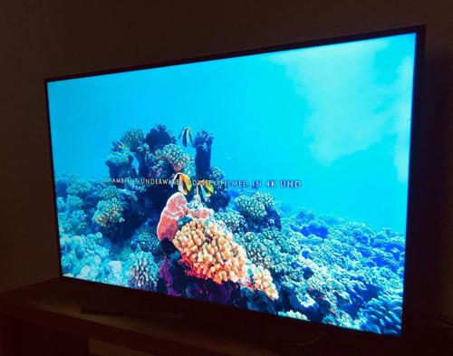Coronel SuárezLos trinos的鱼在礁上的电视屏幕