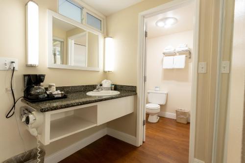 比尔顿匹苏普安德森斯旅馆的一间带水槽和卫生间的浴室