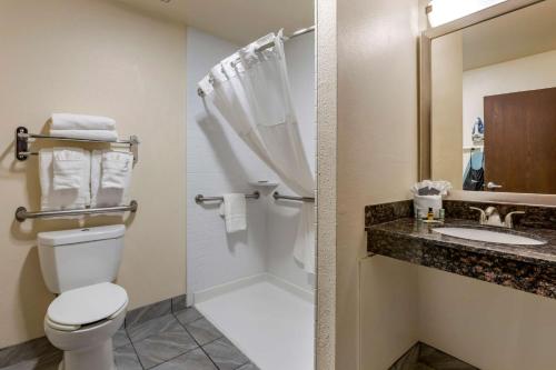 阿尔伯克基贝斯特韦斯特阿尔伯克基机场套房和酒店的浴室配有卫生间、淋浴和盥洗盆。