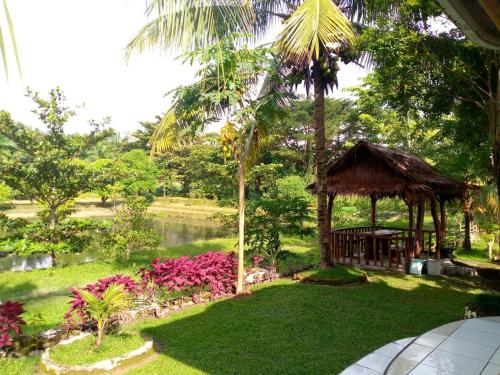 武吉拉旺Sumatra Cheeky Monkeys的一个带凉亭和池塘的花园