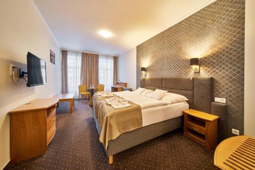 特鲁特诺夫Hotel Adam Trutnov的配有一张床和一张书桌的酒店客房