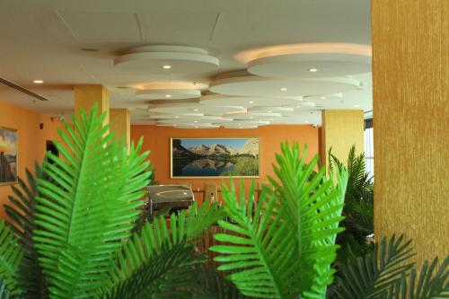 马斯喀特阿马拉酒店的前景绿色植物的办公室大厅