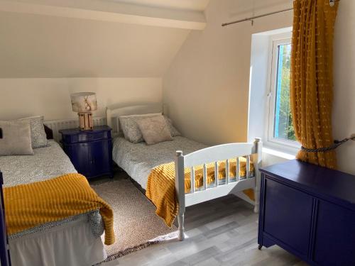 利默里克Katie’s Cottage的一间卧室设有两张床和窗户。