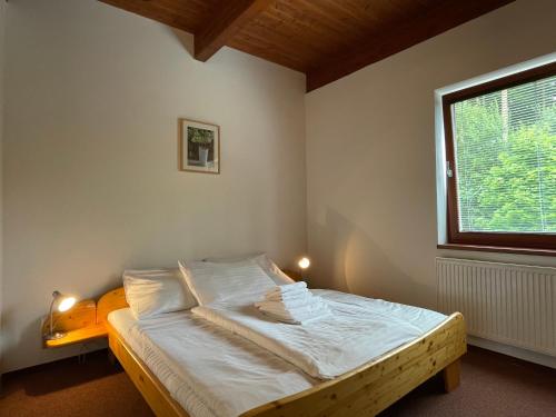 伏尔塔瓦河畔利普诺多奇假日公寓的一间卧室配有一张带白色床单的床和一扇窗户。