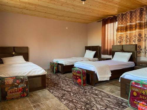 瓦迪拉姆Wadi Rum Quiet Sky的带三张床和窗户的客房
