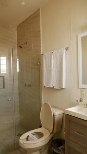 特皮克Hotel Insurgentes Express的带淋浴、卫生间和盥洗盆的浴室
