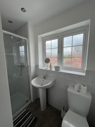 HatfieldHawk House - Furnished Accommodation的浴室配有卫生间、盥洗盆和淋浴。