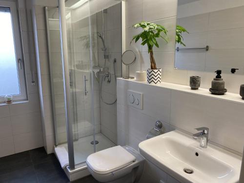 马格德堡RR - Tiny Apartment - Parking - Kitchen - Netflix的带淋浴、卫生间和盥洗盆的浴室