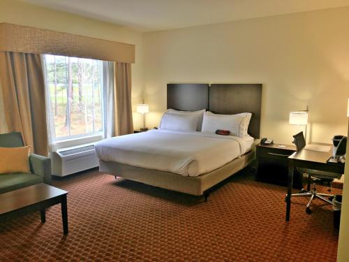 德芬阿克泉德富尼亚克斯普林斯智选假日酒店的一间设有大床和窗户的酒店客房