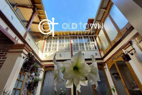 基多Old Town Quito Suites, Heritage Boutique Hotel, Where Every Detail Tells a Story的一座建筑中的一个白色大花雕塑