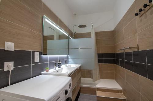 马孔Appartement Quai Jean Jaurès Le Panorama的浴室配有盥洗盆、镜子和浴缸