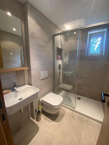布莱夏Gipfel Stuben的带淋浴、卫生间和盥洗盆的浴室