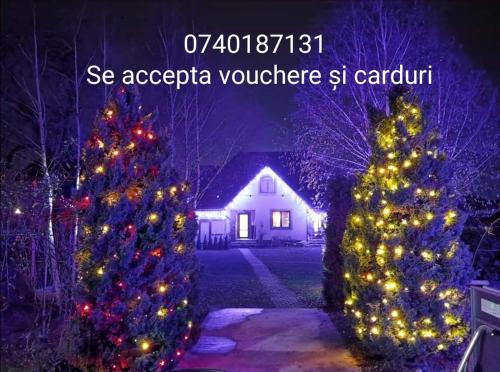 波洛夫拉吉Conacul Caterinei的两棵圣诞树,在房子前面有灯