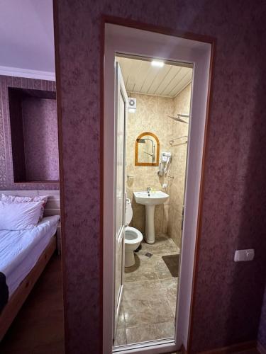 卡兹贝吉Guest house chavchavadze N23的客房内设有带卫生间和盥洗盆的浴室