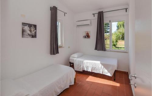 LabicoPatrizio Country House的客房设有两张床和窗户。