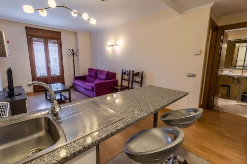 桑托多明戈德锡洛斯Apartamentos & casas rurales Santo Domingo de Silos的一个带水槽和紫色沙发的厨房