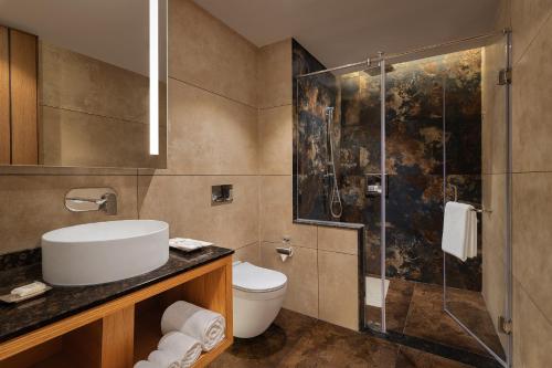 达兰萨拉INFINITEA CENTRIC DHARAMSHALA的浴室配有卫生间水槽和淋浴。