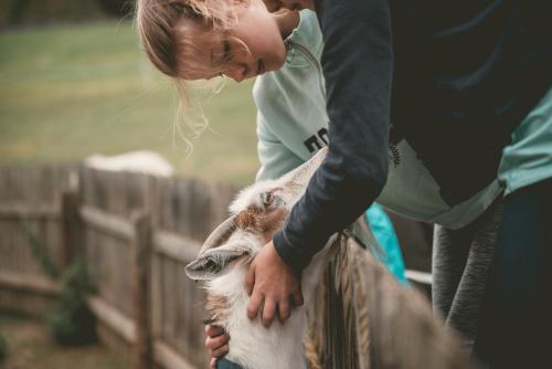 普雷格拉滕Familienhotel Replerhof mit Kinderbetreuung的一只小女孩在栅栏上 ⁇ 着一只山羊