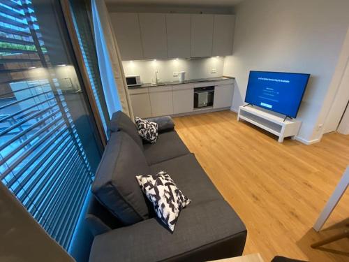 卢森堡New Luxury Studio in the Heart of Kirchberg -D的带沙发和电视的客厅