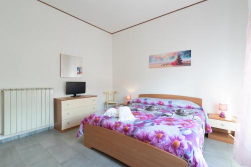 苏比亚诺Casa di Flo'的一间卧室配有一张床和一台电视。