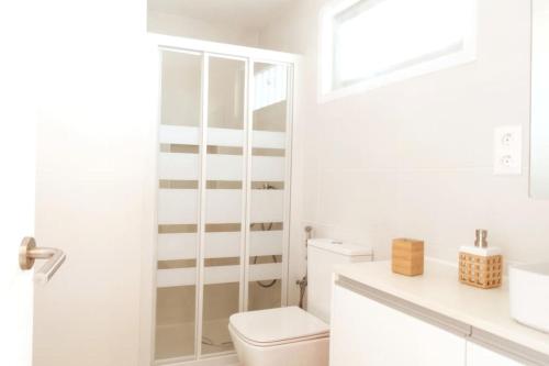 圣巴托洛梅Newly refurbished beachfront apartment.的白色的浴室设有卫生间和水槽。