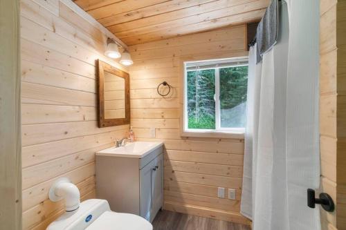 阿什福德Cozy Cedar Cabin Steps Away From Mt. Rainier的一间带卫生间、水槽和窗户的浴室