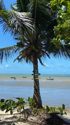 库穆鲁沙蒂巴CHALÉS MELGAÇO的海滩上的棕榈树与大海