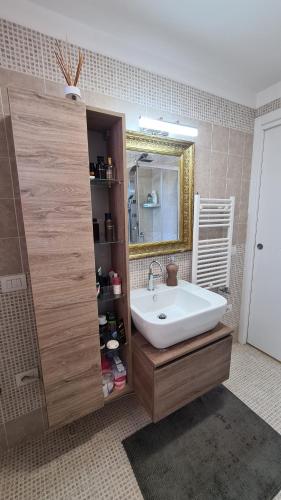 卡利亚里Penthouse genneruxi的一间带水槽和镜子的浴室