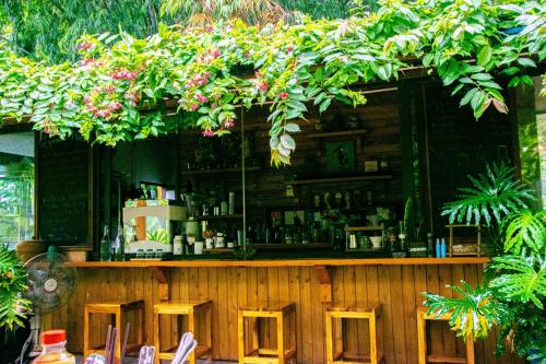 吉婆岛Blue Lagoon Cat Ba的上面有一堆植物的酒吧
