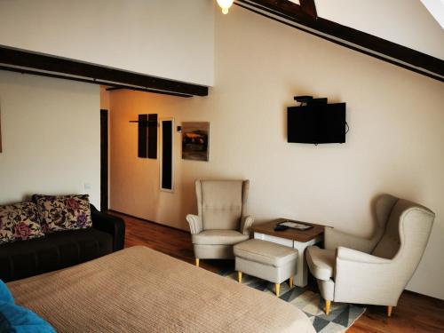 佩什泰拉Pensiunea Tabacaru的客厅配有沙发、椅子和电视