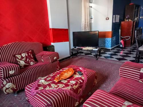 亚历山大Fayrouzat Smoha near the city with open view的客厅配有两张沙发和一台电视机