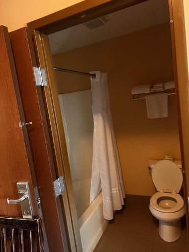AmbridgeAmbridge Inn的一间带卫生间和淋浴帘的浴室