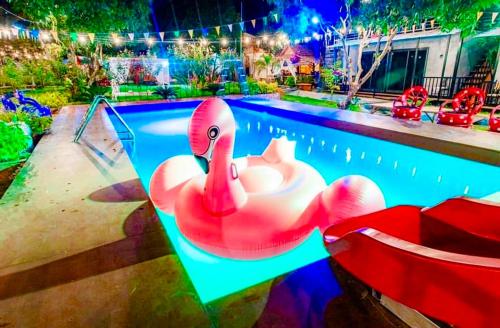 Ban Song Phi Nongบ้านสวีทคาบาน่า และบ้านสวีทโอโซนBy The mountain Ozone บ้านโอโซนขุนเขาแก่งกกระจาน的游泳池晚上的粉红色天鹅