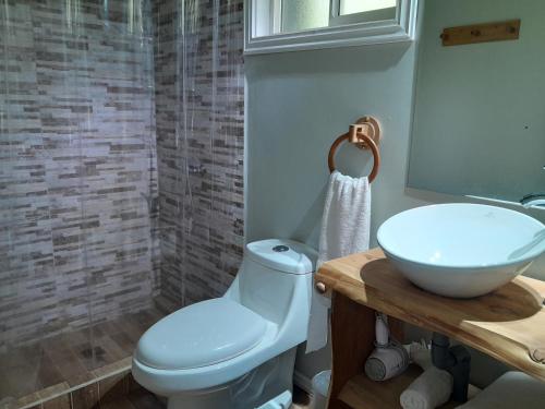 普孔LodgeTenisPuconcl - Refuio369cl的浴室配有白色卫生间和盥洗盆。
