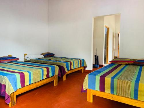 阿努拉德普勒Coco Garden Holiday Homes的一间设有三张床及条纹床单的客房