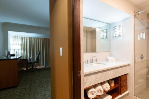 坦皮科HS HOTSSON Hotel Tampico的一间带水槽和大镜子的浴室