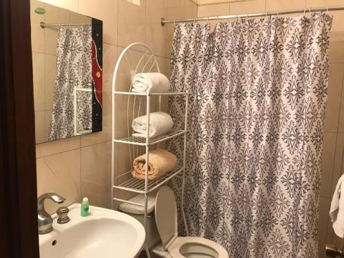 蒙特哥贝Chateau Margarita JA的一间带卫生间和淋浴帘的浴室