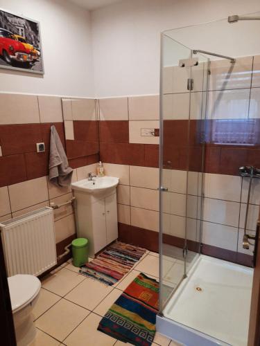 BiałaGościniec w Starym Młynie的带淋浴、卫生间和盥洗盆的浴室