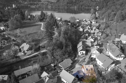 布莱德Bled House Of Green的享有湖畔村庄的空中景致