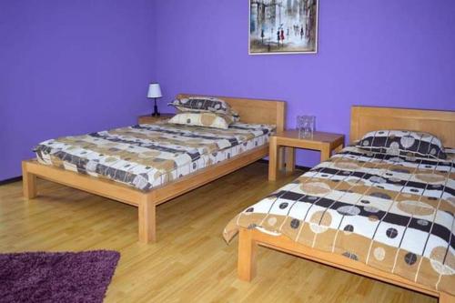巴亚马雷Cazare ANIMA的紫色墙壁客房的两张床
