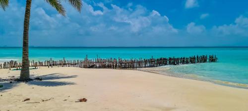 女人岛Casa Nahua Maya Centro Isla Mujeres的一个带栅栏和棕榈树的海滩