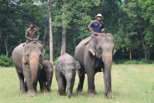 索拉哈Hotel Town View的三只大象背上的三个男人