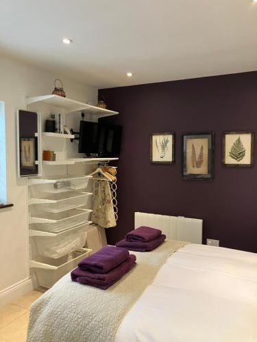 威利斯伯恩黑斯庭The Burrow的一间卧室配有一张带紫色枕头的床