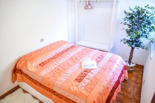 CollimentoAppartamento a Campo Felice - Treeffe的一间卧室配有一张床和盆栽植物