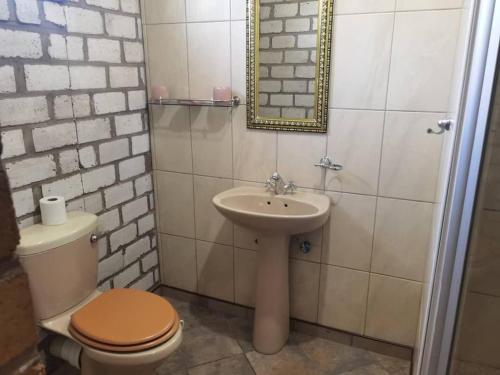 OshikangoPalmeiras Lodge Oshikango的一间带卫生间和水槽的浴室