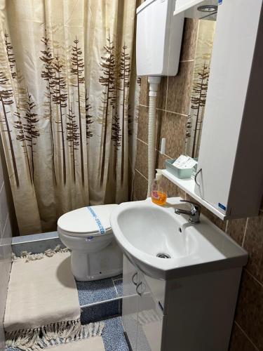 沙巴茨Apartments Vila Brzi & Beka的浴室配有水槽、卫生间和浴帘