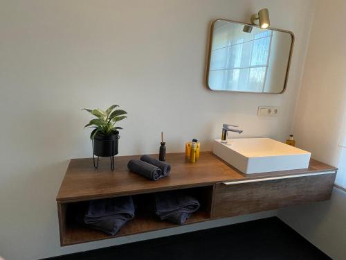 ZoutleeuwVakantieappartement Logies Terhagen的一间带水槽和镜子的浴室